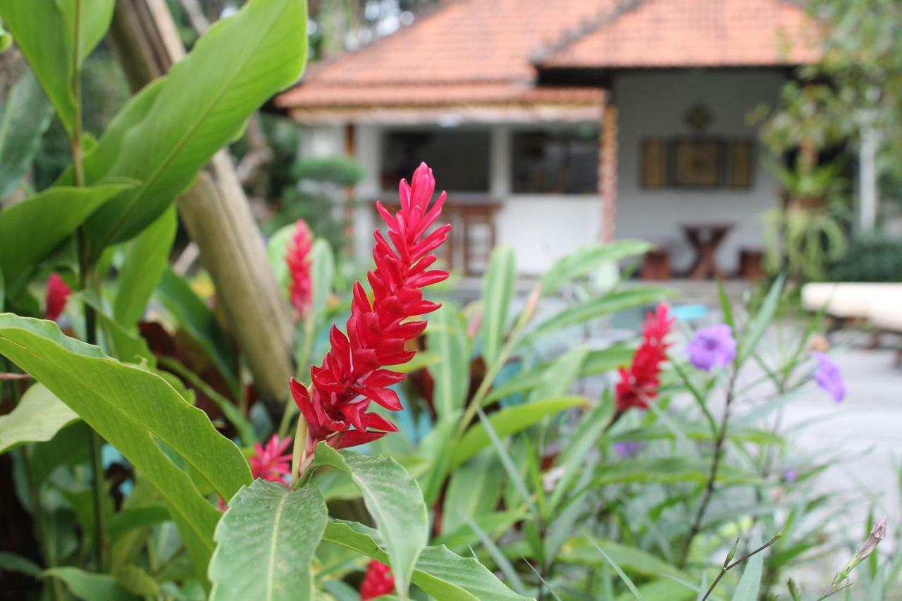 Villa Sindu Ubud Bagian luar foto