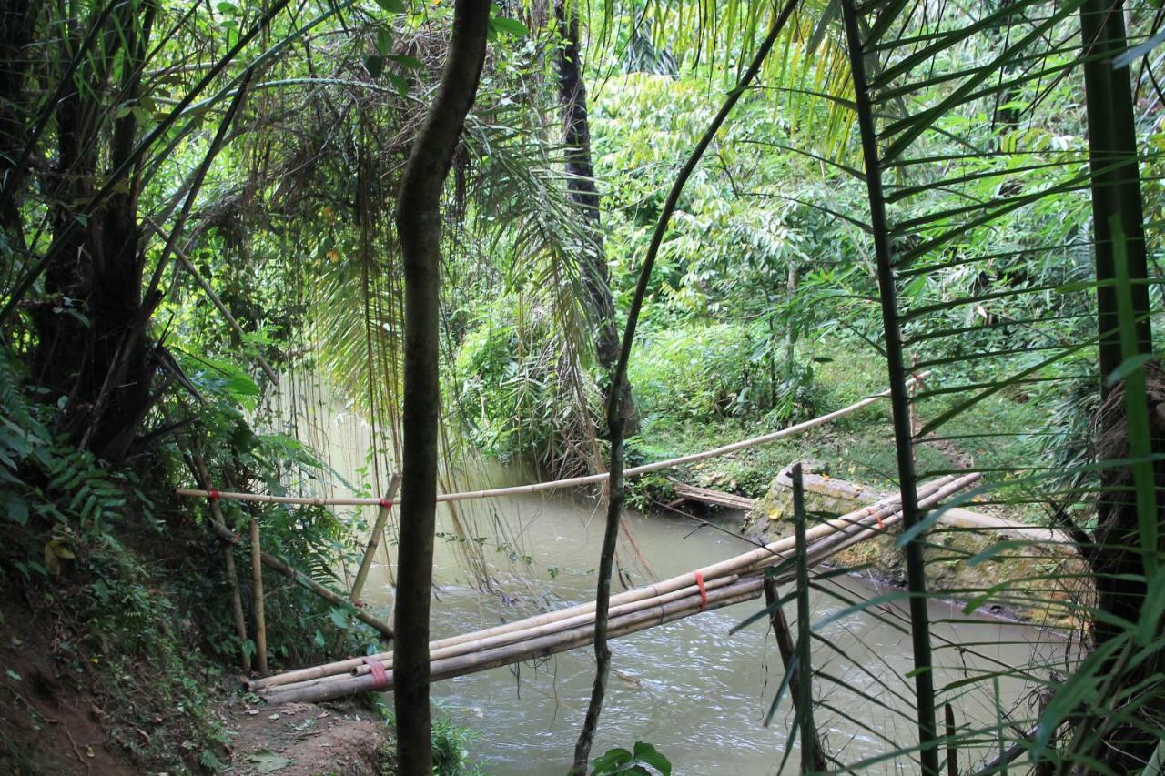 Villa Sindu Ubud Bagian luar foto