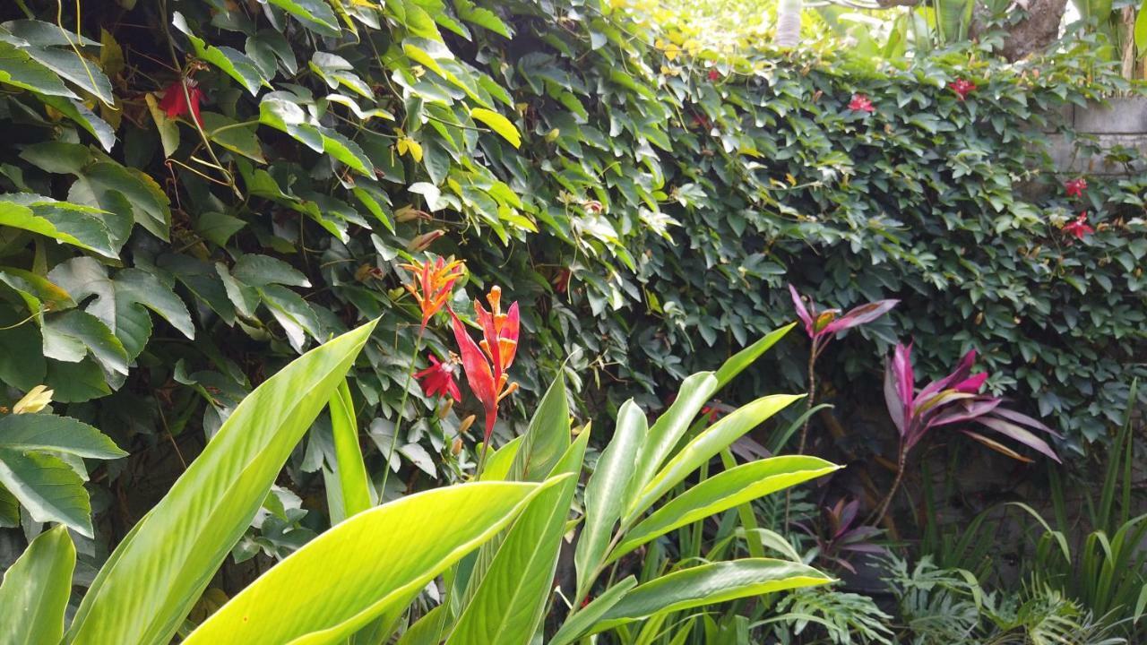 Villa Sindu Ubud Bagian luar foto
